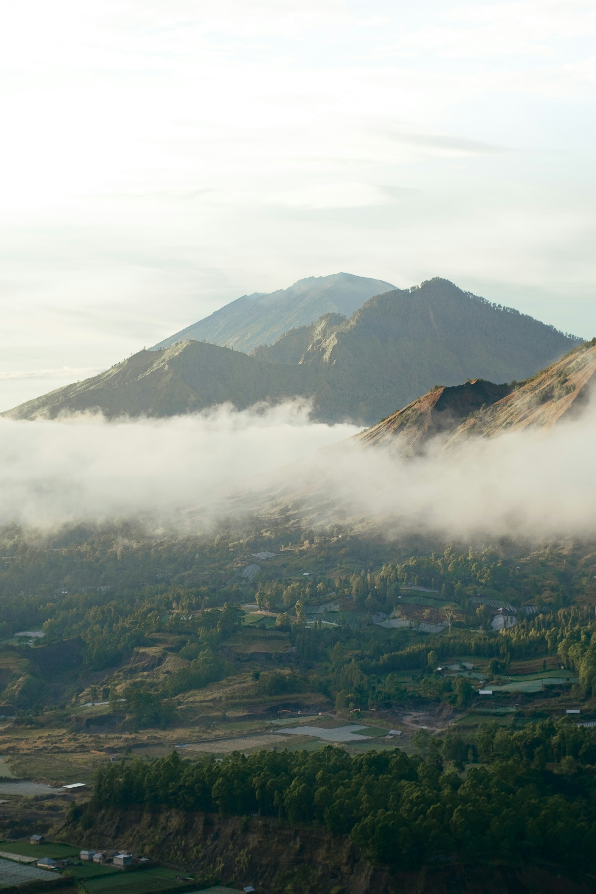 Mount Batur View