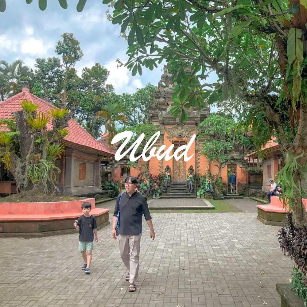 Ubud 3 Days 2 Nights Package