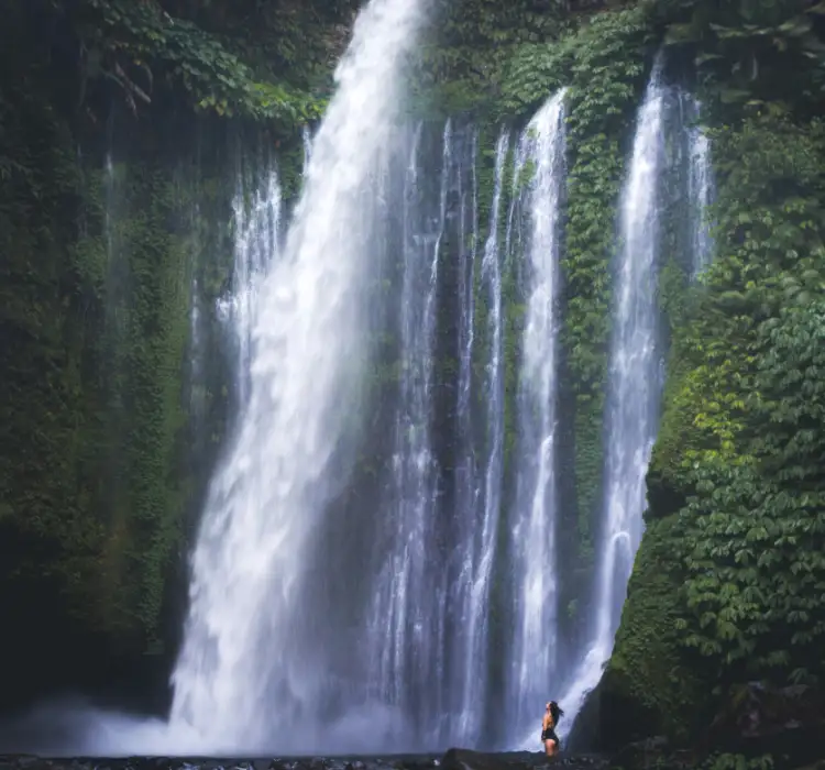 Trip to Ubud in 3 Days