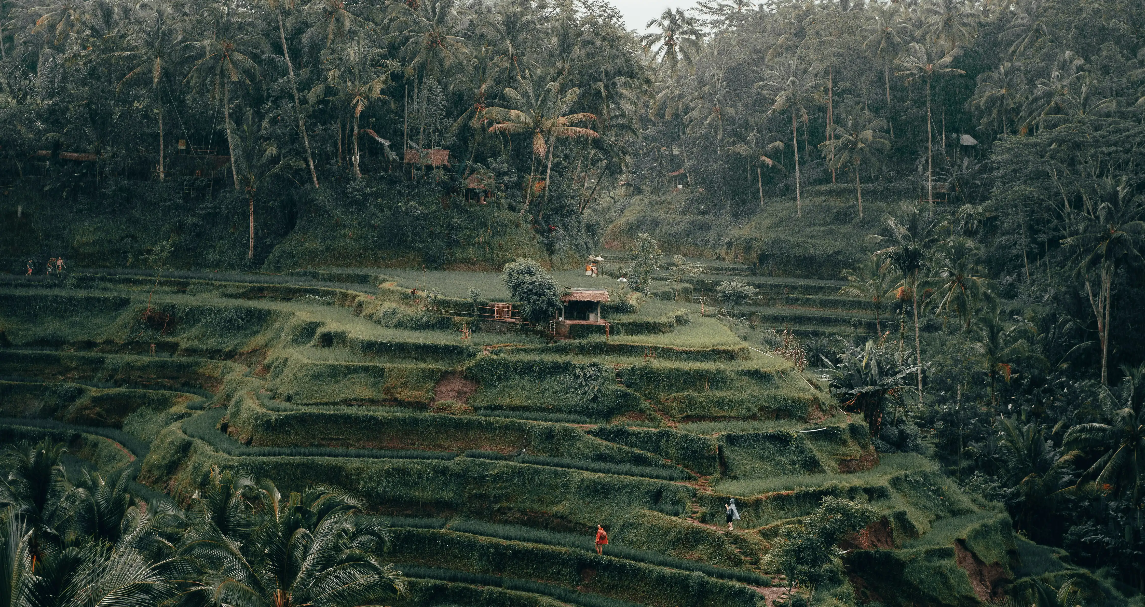 Ubud Tourist Places