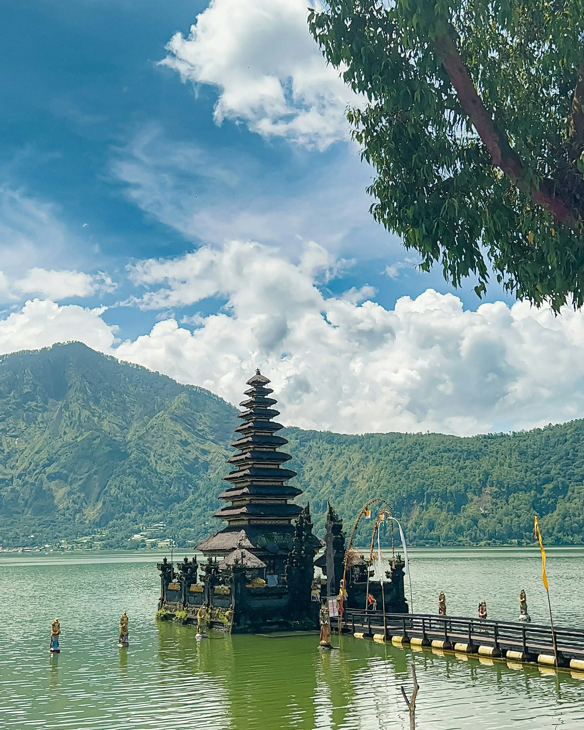 Bali Scenery