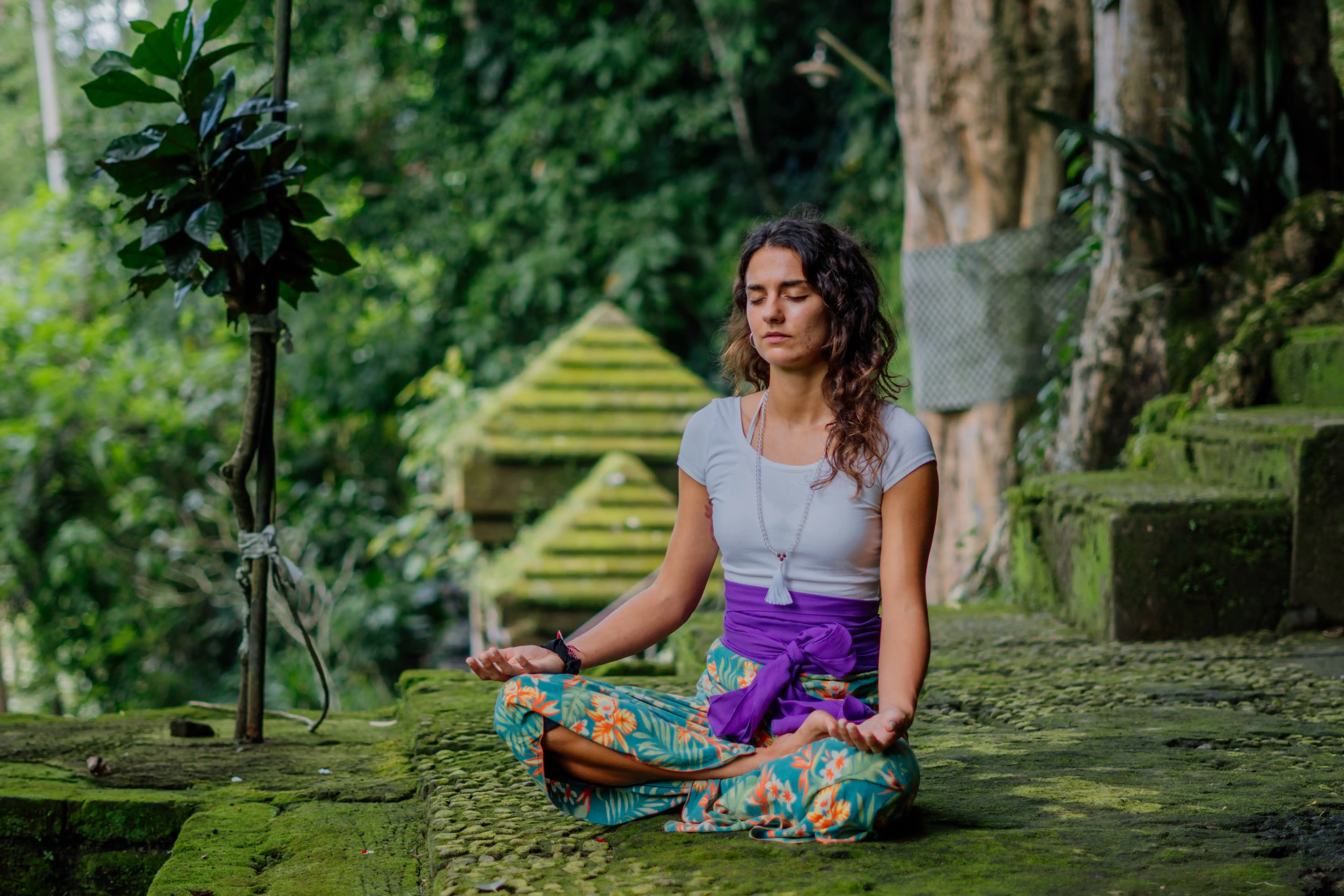 Bali Wellness Tour
